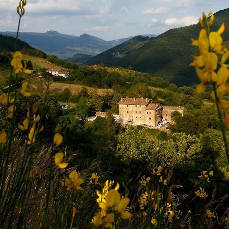 Country House Villa La Farfalla ピエトラルンガ エクステリア 写真