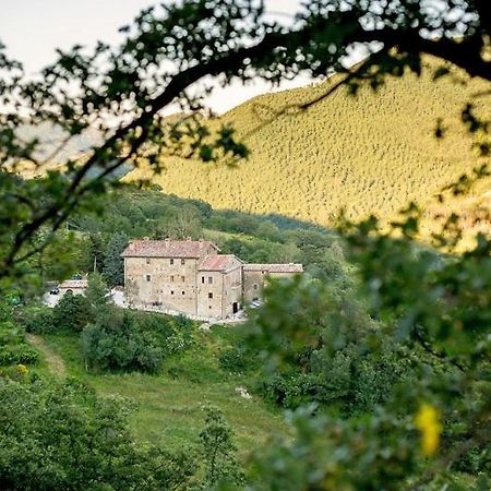 Country House Villa La Farfalla ピエトラルンガ エクステリア 写真