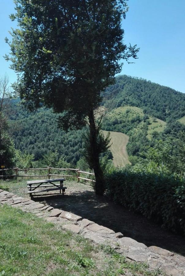 Country House Villa La Farfalla ピエトラルンガ エクステリア 写真